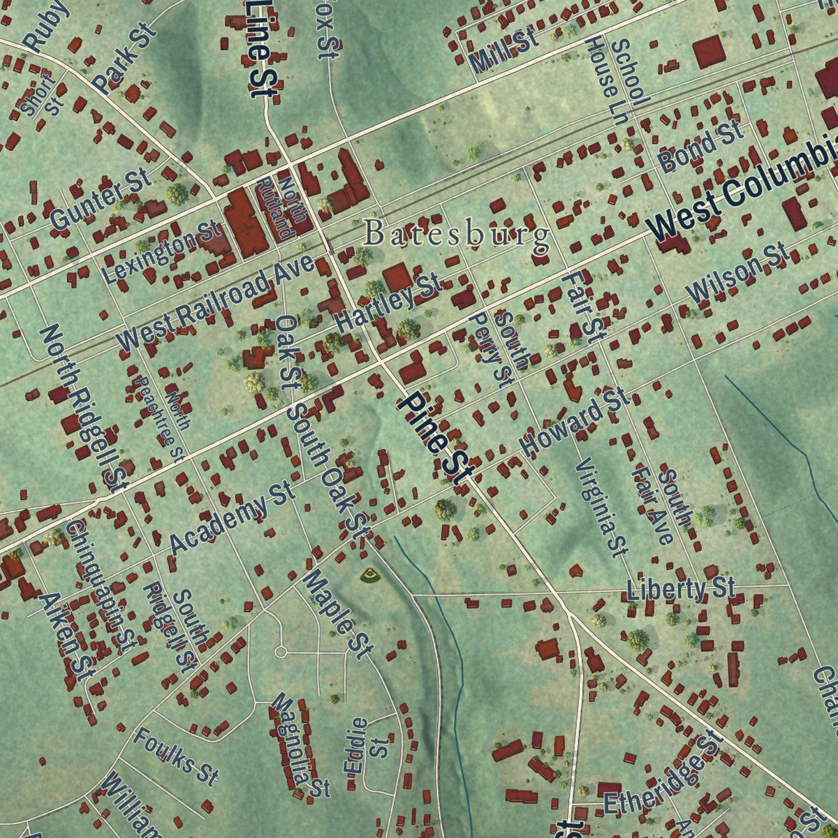 Close-up of the map of Batesburg-Leesville, South Carolina print showing street and building detail