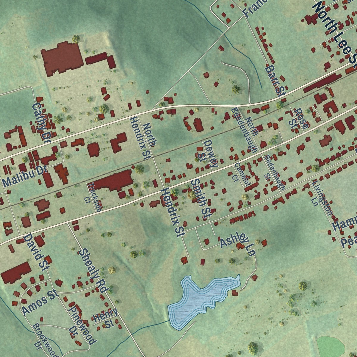 Second close-up of the map of Batesburg-Leesville, South Carolina print showing more streets and buildings
