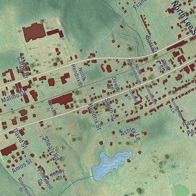Second close-up of the map of Batesburg-Leesville, South Carolina print showing more streets and buildings