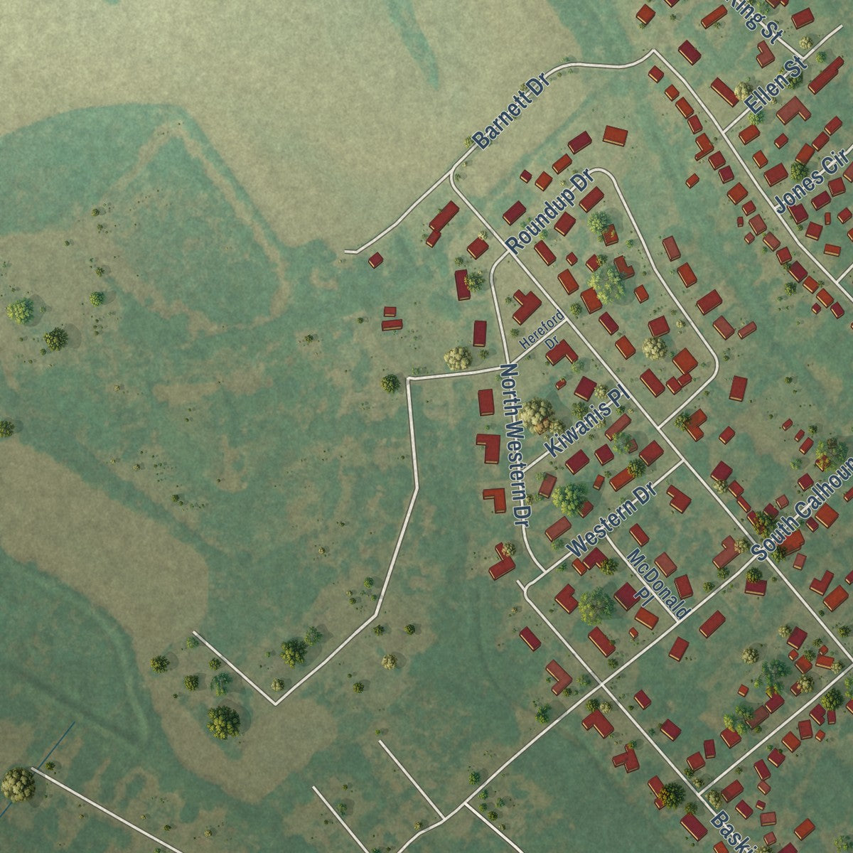 Second close-up of the map of Bishopville, South Carolina print showing more streets and buildings
