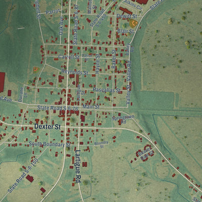 Close-up of the map of Blackville, South Carolina print showing street and building detail