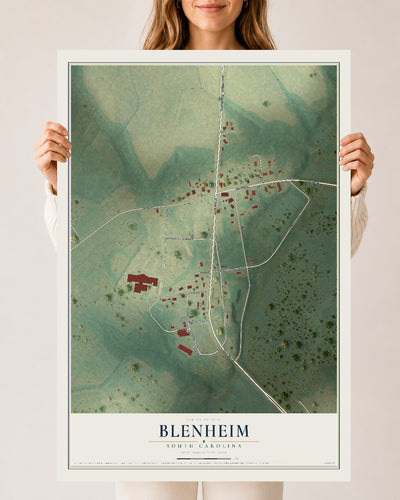 Map of Blenheim, South Carolina, 24 x 36 inch unframed archival matte print
