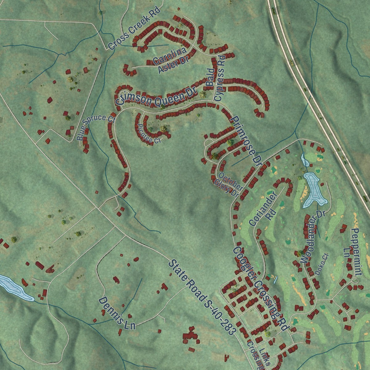 Second close-up of the map of Blythewood, South Carolina print showing more streets and buildings