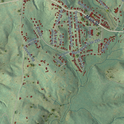 Close-up of the map of Buffalo, South Carolina print showing street and building detail