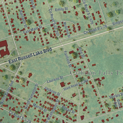 Close-up of the map of Calhoun Falls, South Carolina print showing street and building detail