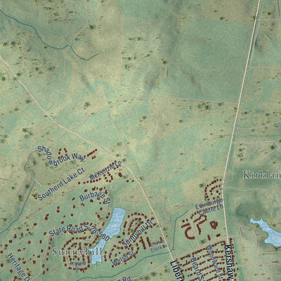 Second close-up of the map of Camden, South Carolina print showing more streets and buildings
