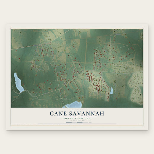 Cane Savannah, South Carolina map print, the full design