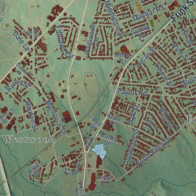 Close-up of the map of Cayce, South Carolina print showing street and building detail