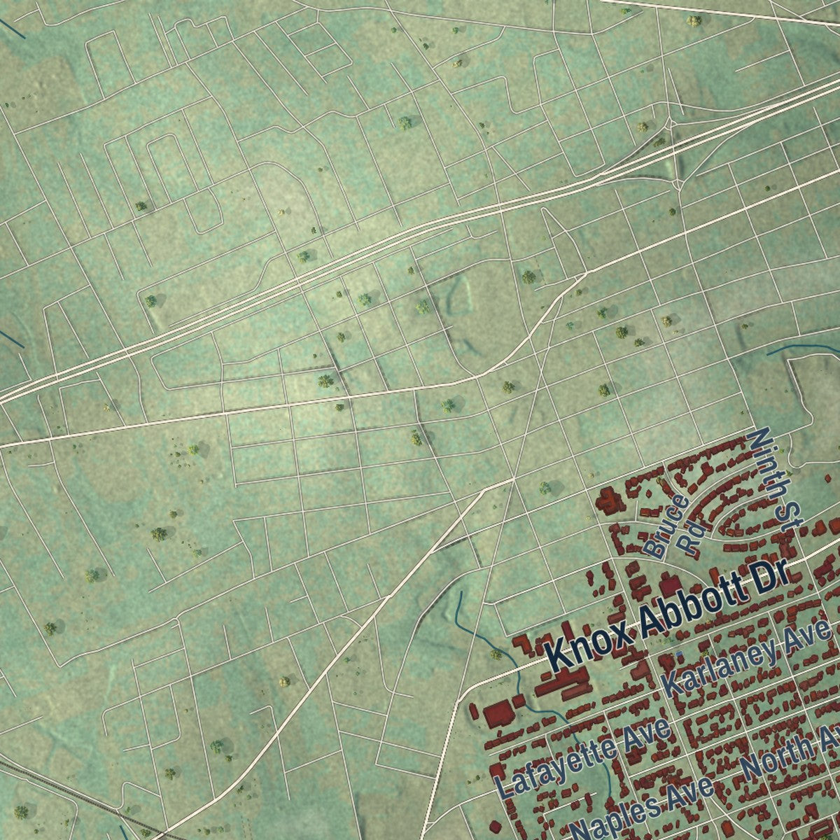 Second close-up of the map of Cayce, South Carolina print showing more streets and buildings