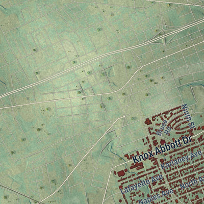 Second close-up of the map of Cayce, South Carolina print showing more streets and buildings