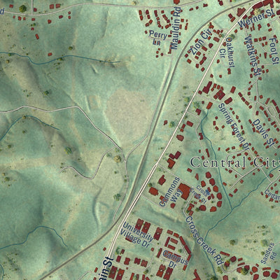 Second close-up of the map of Central, South Carolina print showing more streets and buildings