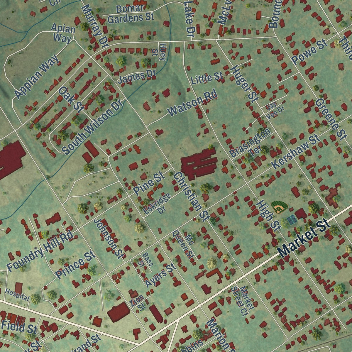 Close-up of the map of Cheraw, South Carolina print showing street and building detail