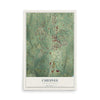Map of Chesnee, South Carolina, 12 x 18 inch unframed archival matte print