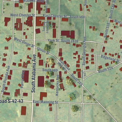 Close-up of the map of Chesnee, South Carolina print showing street and building detail