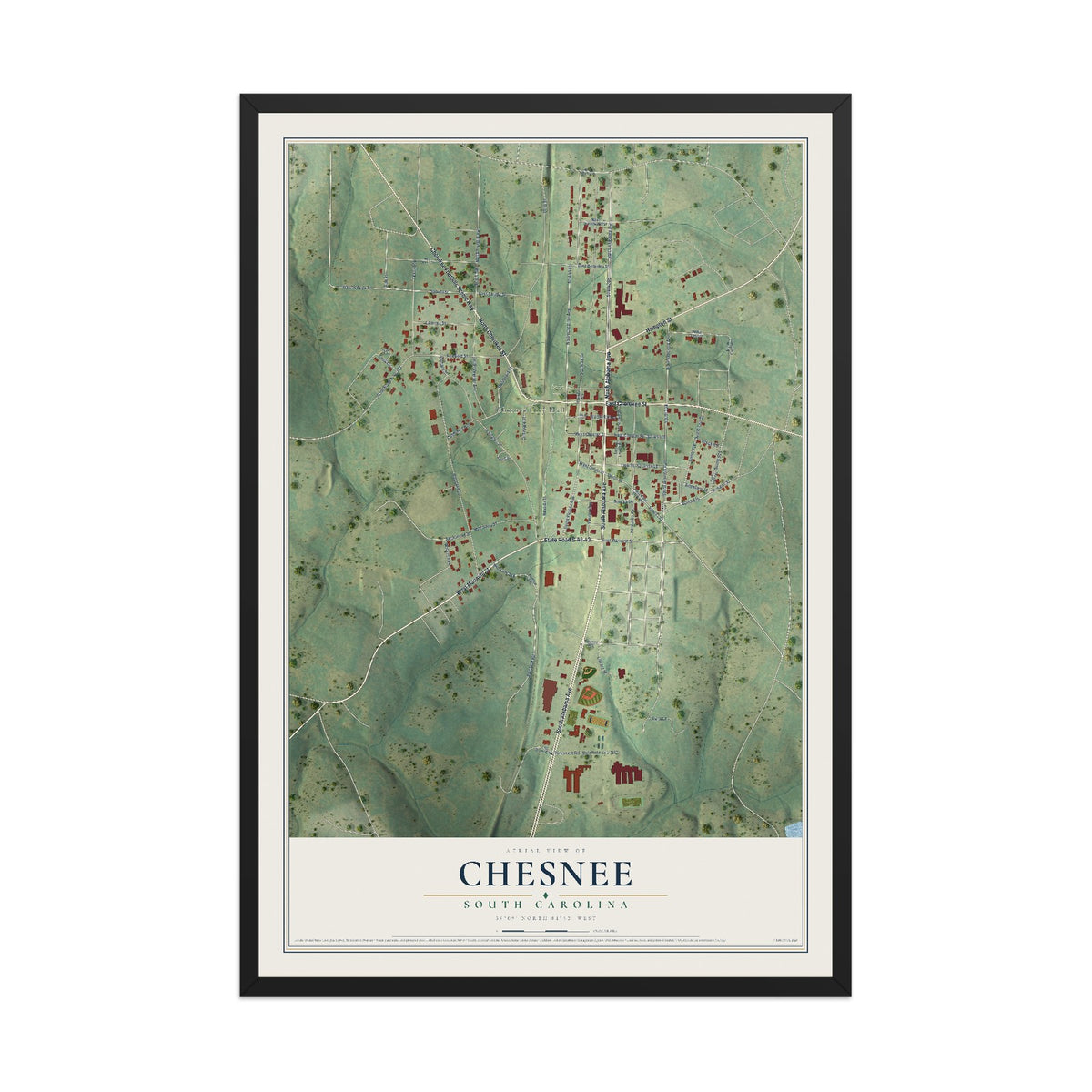 Map of Chesnee, South Carolina, 12 x 18 inch print in a black wood frame