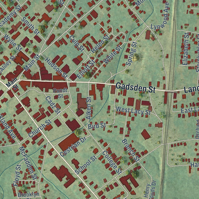 Close-up of the map of Chester, South Carolina print showing street and building detail