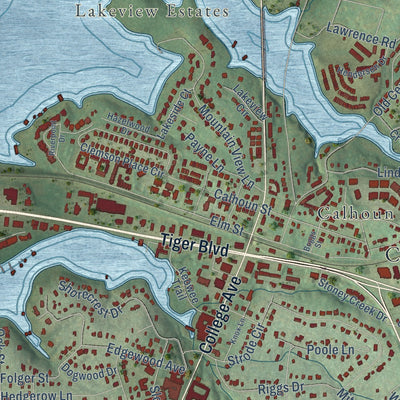 Close-up of the map of Clemson, South Carolina print showing street and building detail