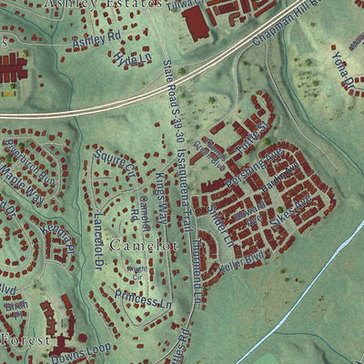 Second close-up of the map of Clemson, South Carolina print showing more streets and buildings