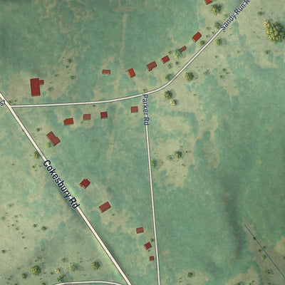 Close-up of the map of Cokesbury, South Carolina print showing street and building detail