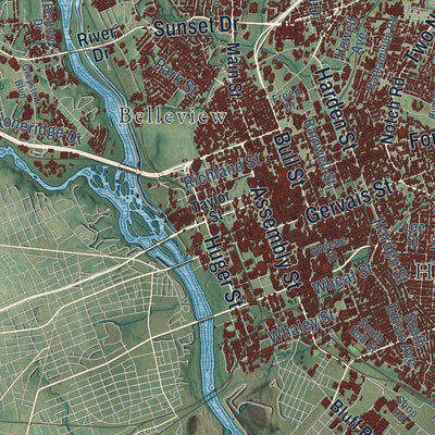 Close-up of the map of Columbia, South Carolina print showing street and building detail