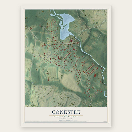 Conestee, South Carolina map print, the full design