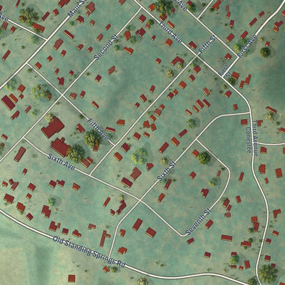 Close-up of the map of Conestee, South Carolina print showing street and building detail