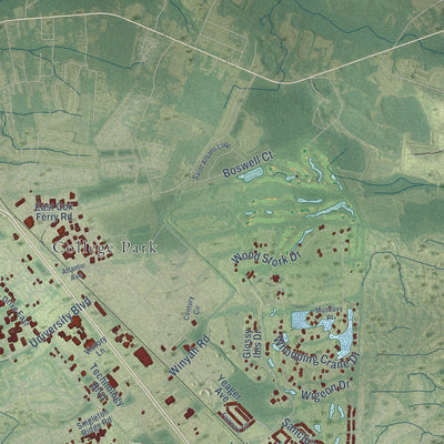 Second close-up of the map of Conway, South Carolina print showing more streets and buildings