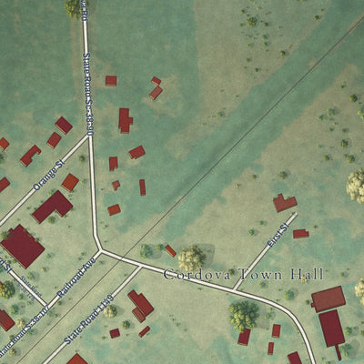 Close-up of the map of Cordova, South Carolina print showing street and building detail