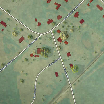 Second close-up of the map of Cordova, South Carolina print showing more streets and buildings