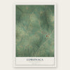 Coronaca, South Carolina map print, the full design