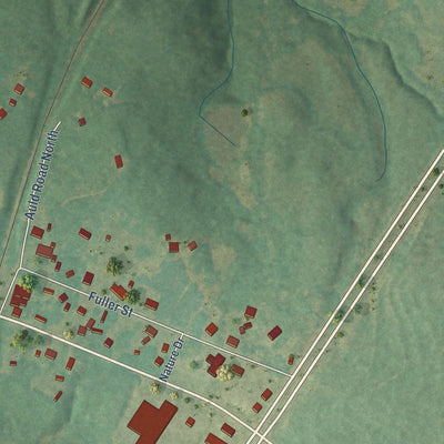 Close-up of the map of Coronaca, South Carolina print showing street and building detail
