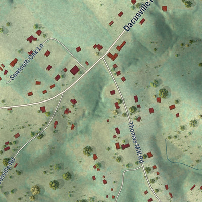 Close-up of the map of Dacusville, South Carolina print showing street and building detail
