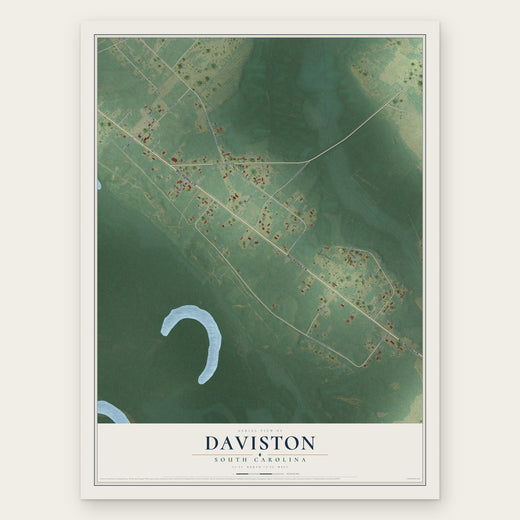 Daviston, South Carolina map print, the full design