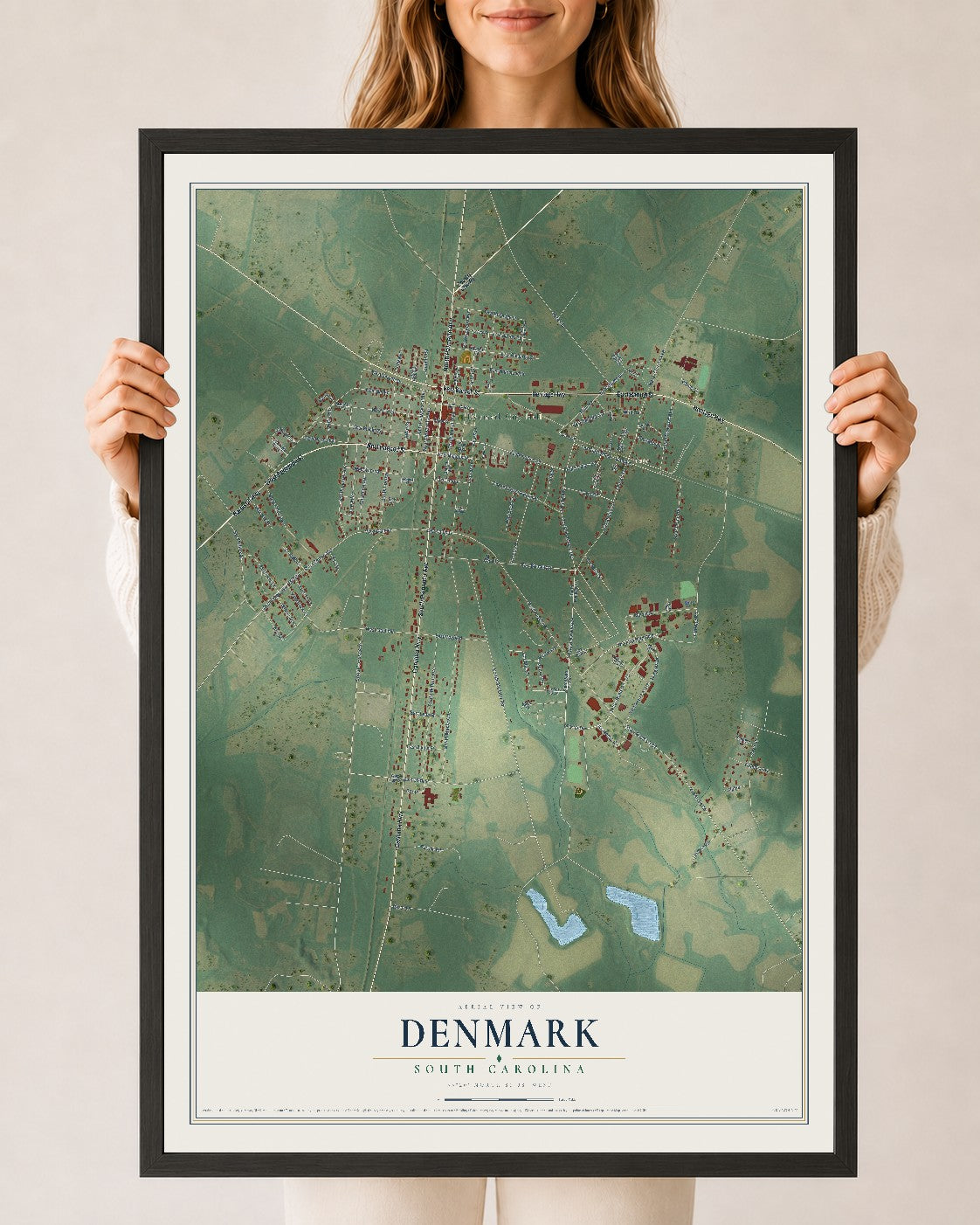 Map of Denmark, South Carolina, 24 x 36 inch print in a black wood frame