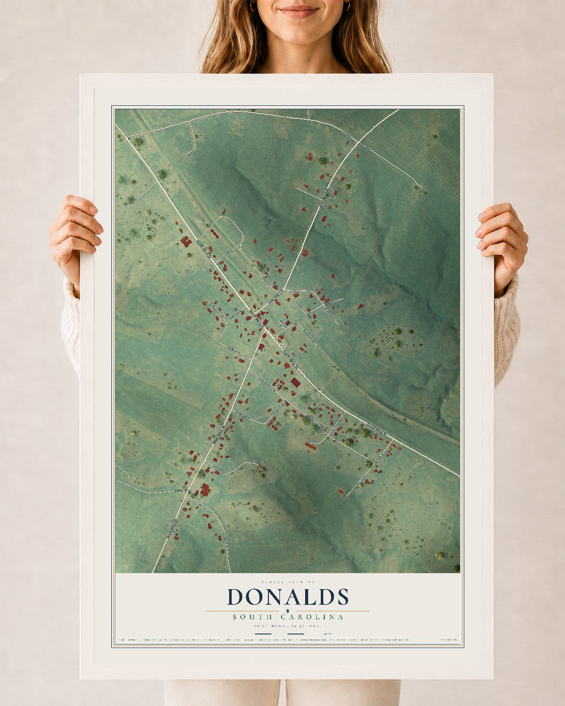 Map of Donalds, South Carolina, 24 x 36 inch print in a white wood frame