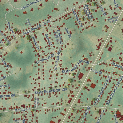 Close-up of the map of East Camden, South Carolina print showing street and building detail