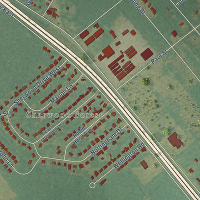 Close-up of the map of East Sumter, South Carolina print showing street and building detail