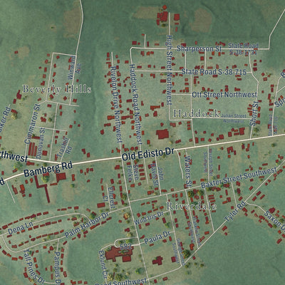 Close-up of the map of Edisto, South Carolina print showing street and building detail
