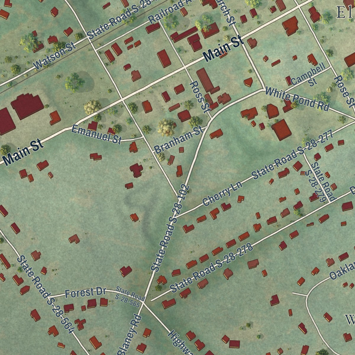 Close-up of the map of Elgin, South Carolina print showing street and building detail