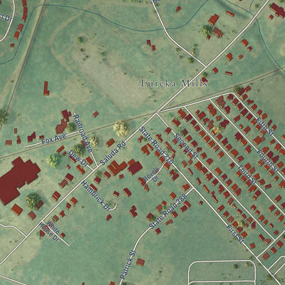 Close-up of the map of Eureka Mill, South Carolina print showing street and building detail