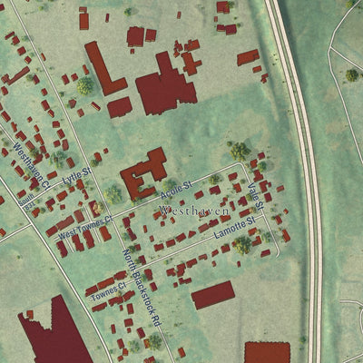 Close-up of the map of Fairforest, South Carolina print showing street and building detail