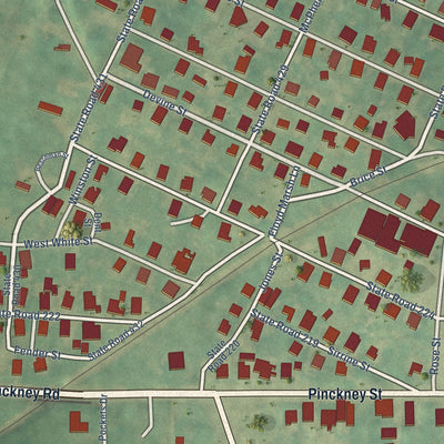 Close-up of the map of Gayle Mill, South Carolina print showing street and building detail