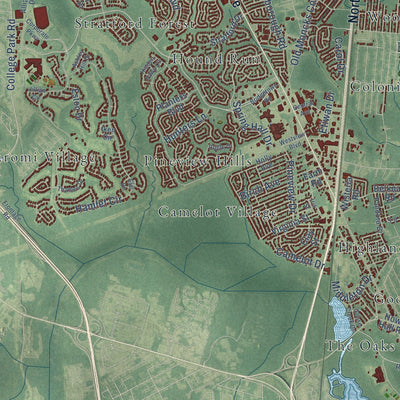 Close-up of the map of Goose Creek, South Carolina print showing street and building detail