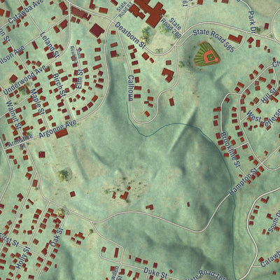 Close-up of the map of Great Falls, South Carolina print showing street and building detail