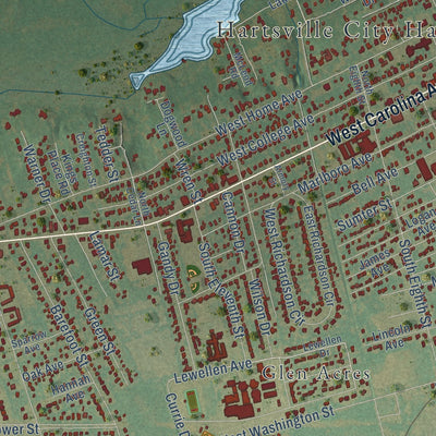 Close-up of the map of Hartsville, South Carolina print showing street and building detail
