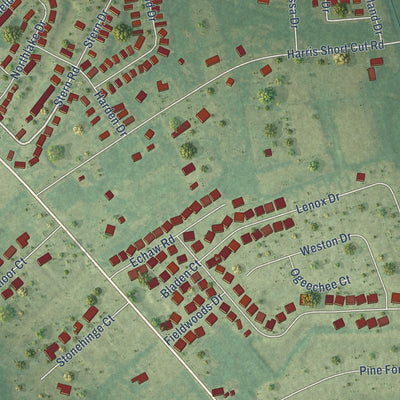Close-up of the map of Homewood, South Carolina print showing street and building detail