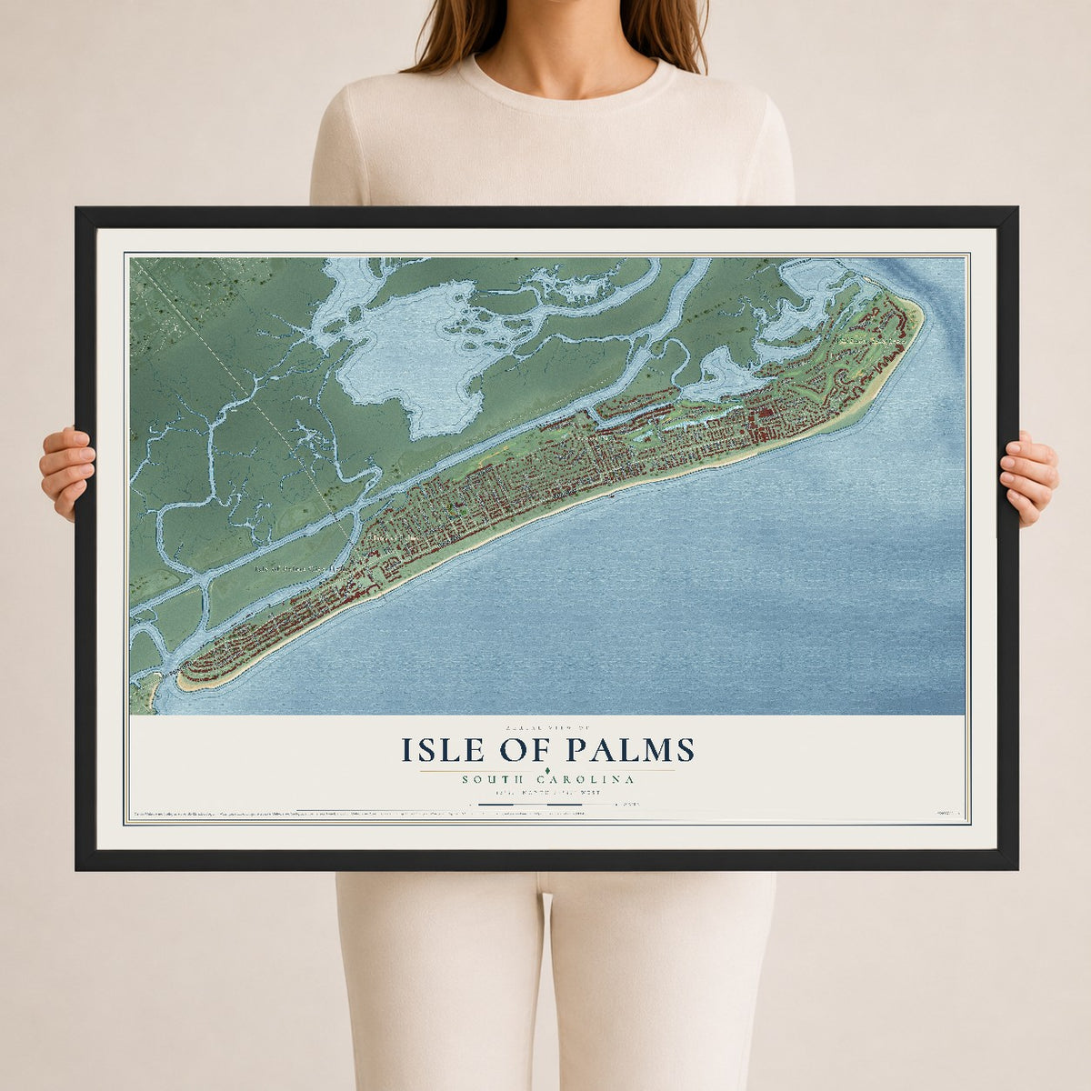 Map of Isle of Palms, South Carolina, 24 x 36 inch print in a black wood frame