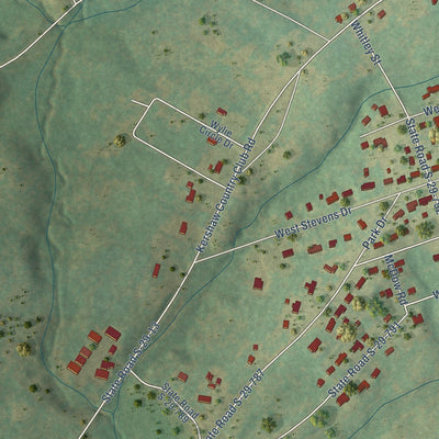 Second close-up of the map of Kershaw, South Carolina print showing more streets and buildings