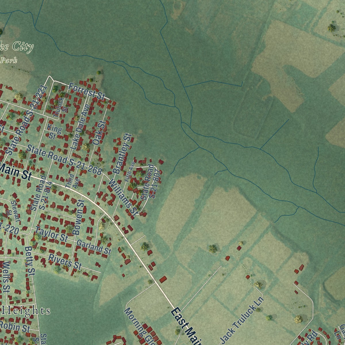 Second close-up of the map of Lake City, South Carolina print showing more streets and buildings