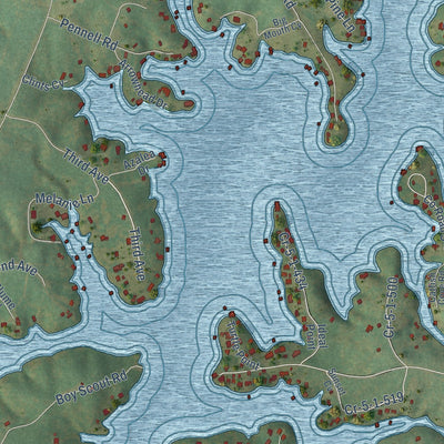 Close-up of the map of Lake Secession, South Carolina print showing street and building detail